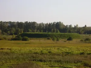 Мсцібаўскае гарадзішча