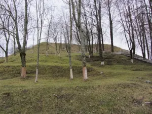 Свирский замок