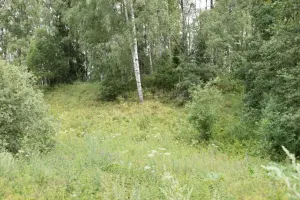 Мяклава (археалагічны помнік)