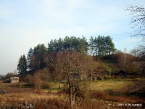 Камень (гарадзішча)