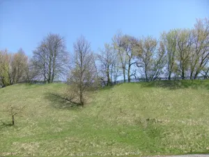 Кричевский замок