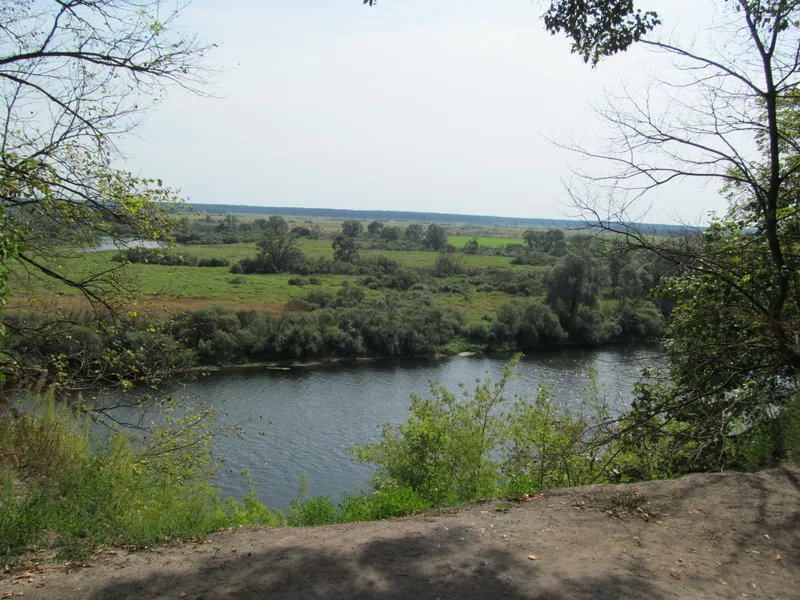 Пропойский замок