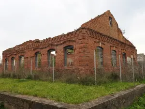 Крэўская сінагога