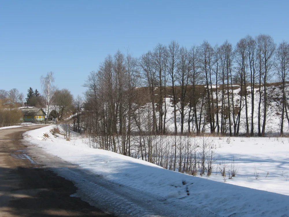 Лосский замок