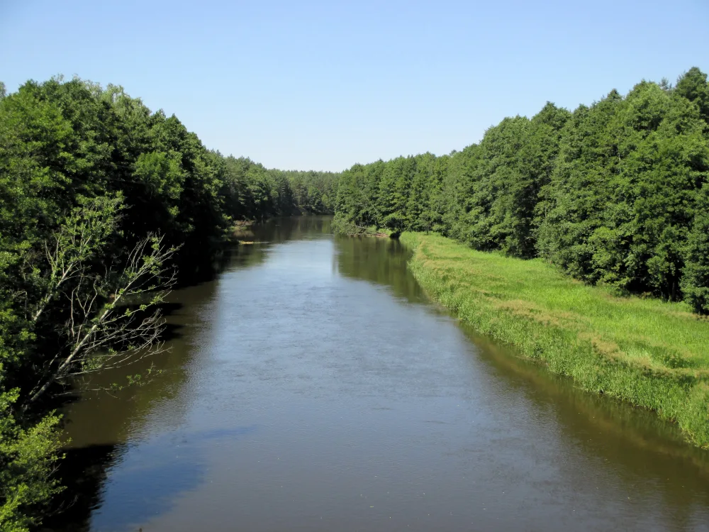 Щара