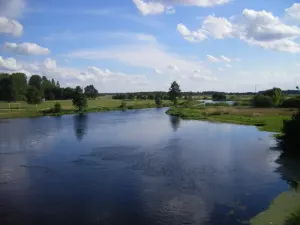 Лесная