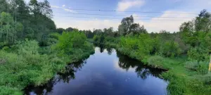 Ипа
