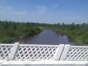 Словечна