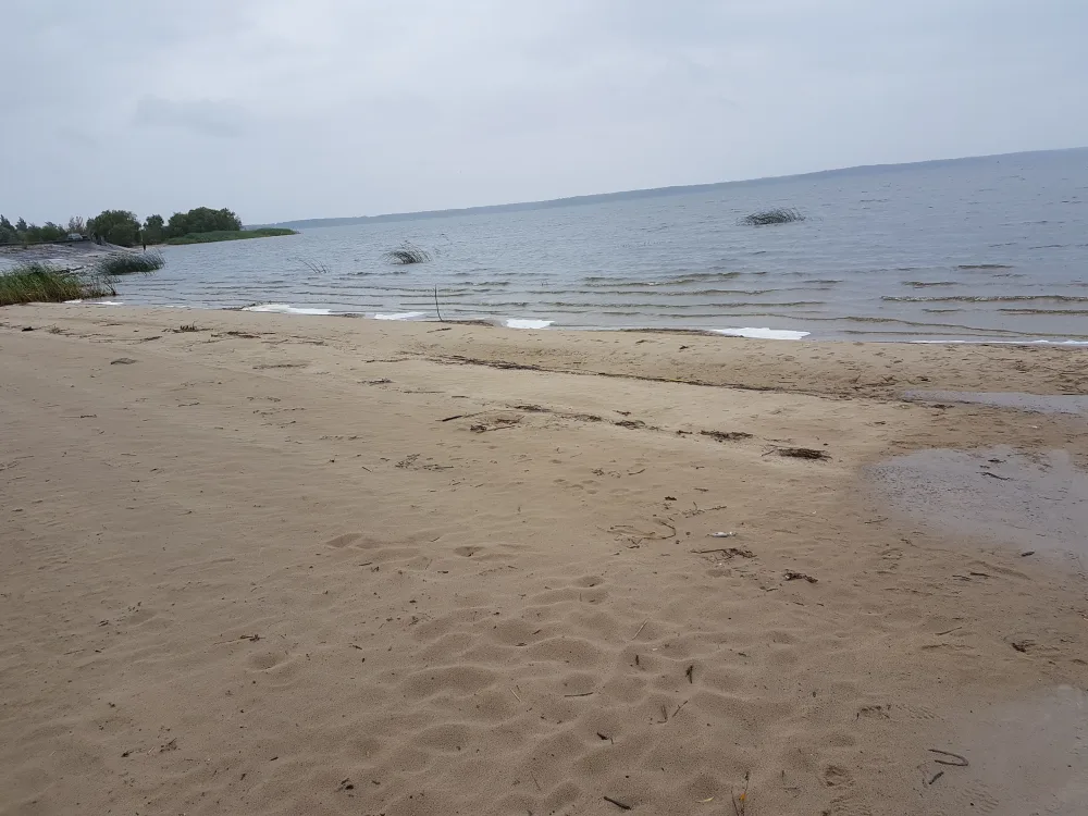 Селец