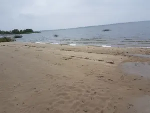 Селец