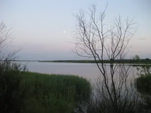 Локтыши