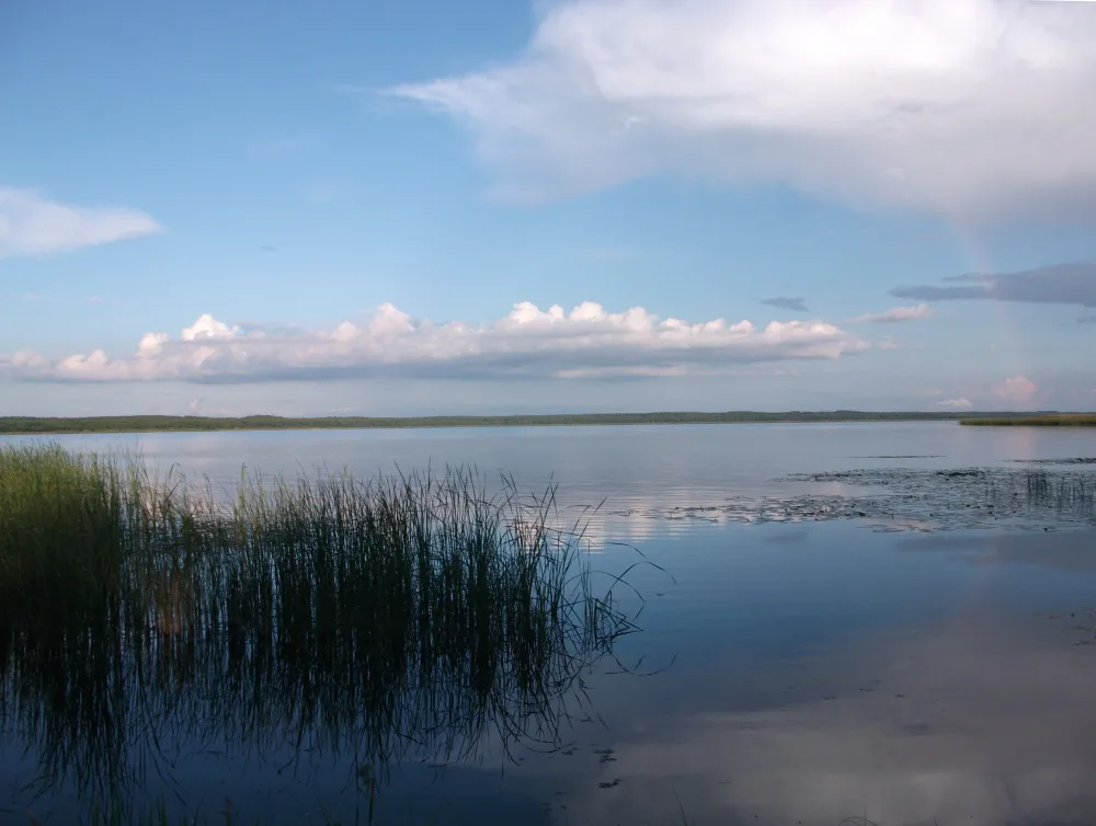 Лисно