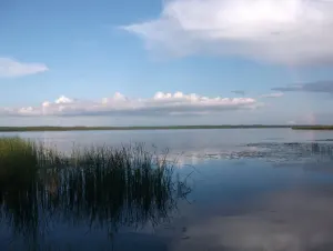 Лисно