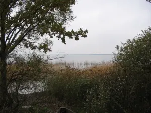 Шо
