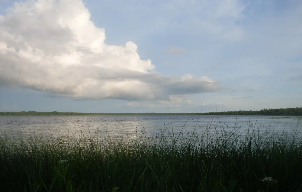 Палик