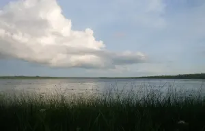 Палик