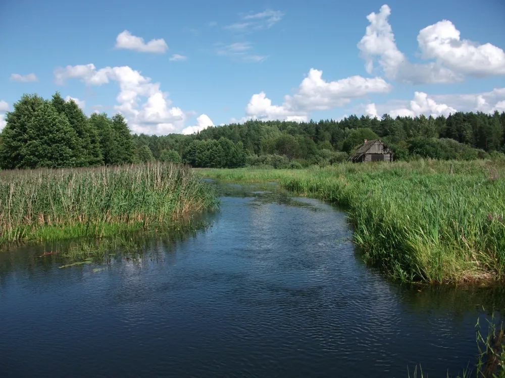 Свольна