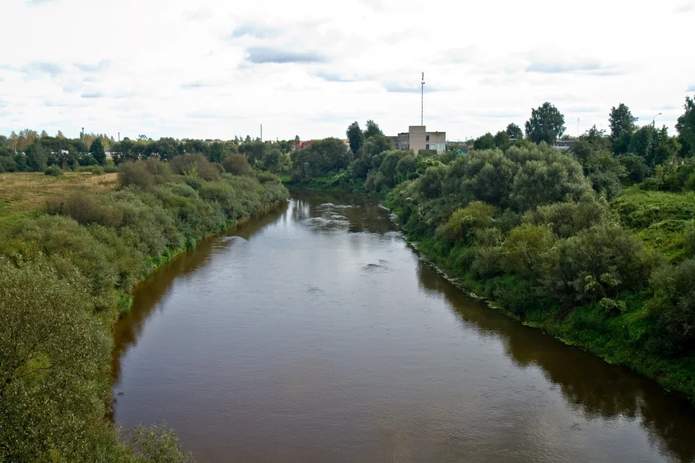 Дрисса