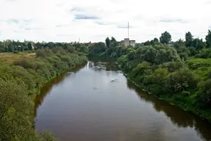 Дрисса