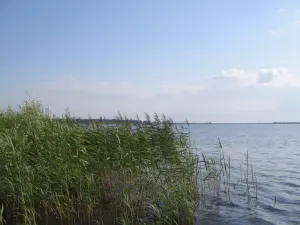 Погост