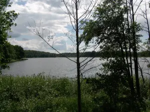 Ельно