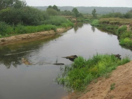 Ведрич