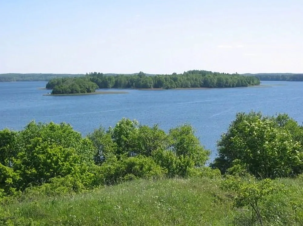 Мядель