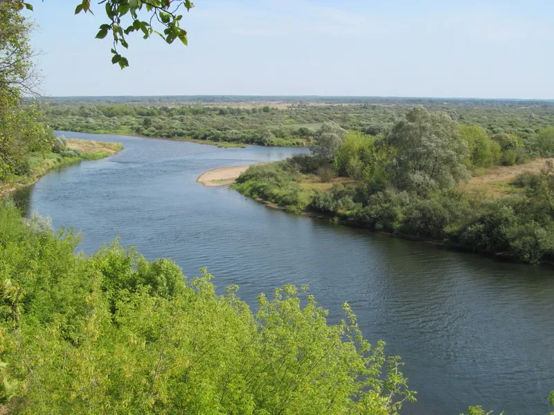 Проня