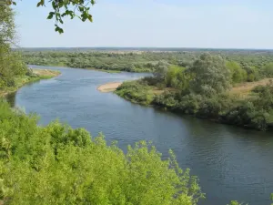 Проня