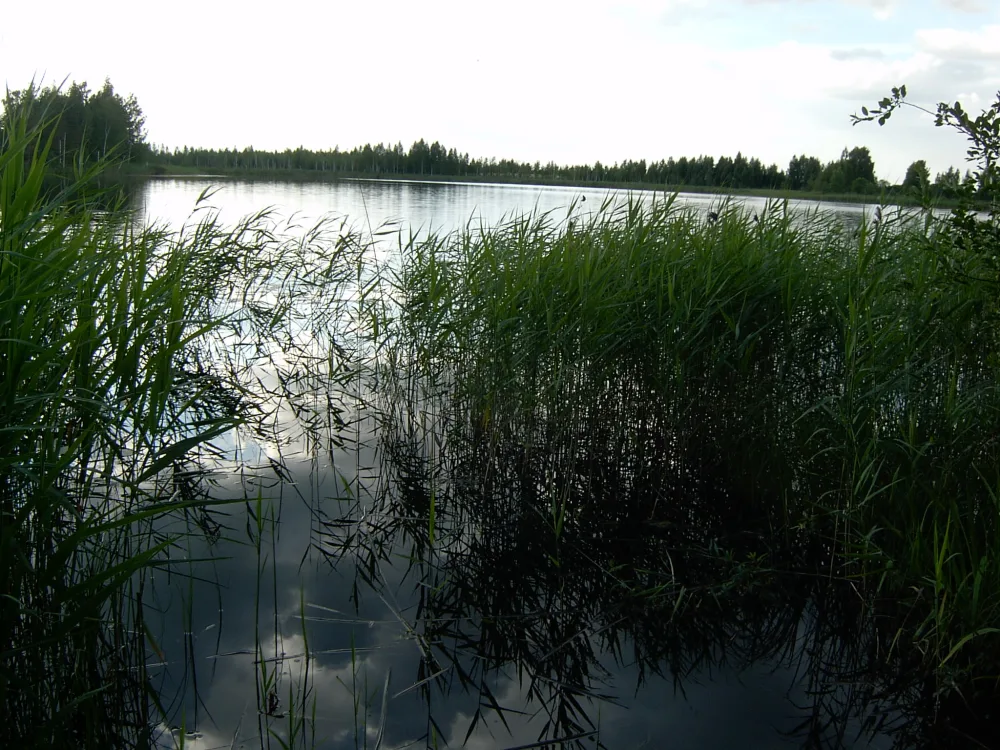 Обокрители