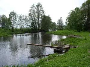 Уса