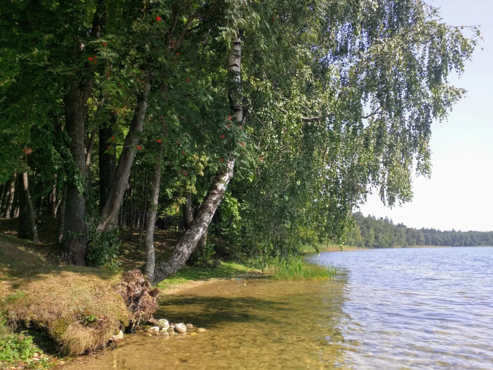 Свитязь