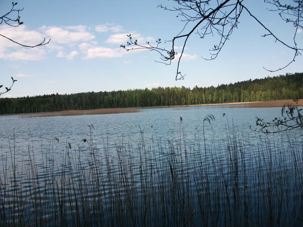 Глубля