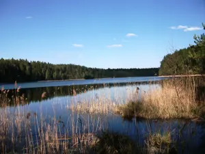 Большой Болтик