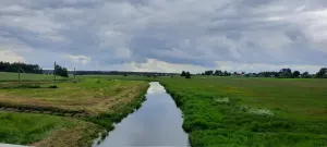 Лоша