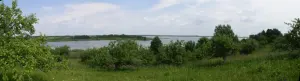 Нещердо