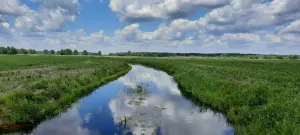Скрипица