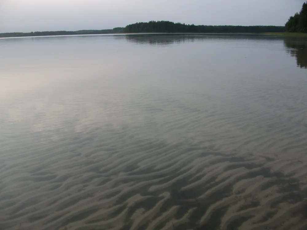 Белое