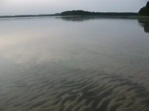 Белое