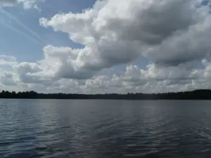 Будовесть