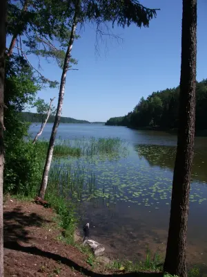 Вечелье