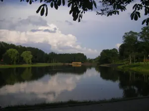 Берестовичанка