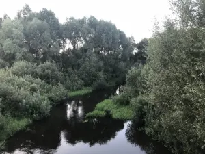 Уза