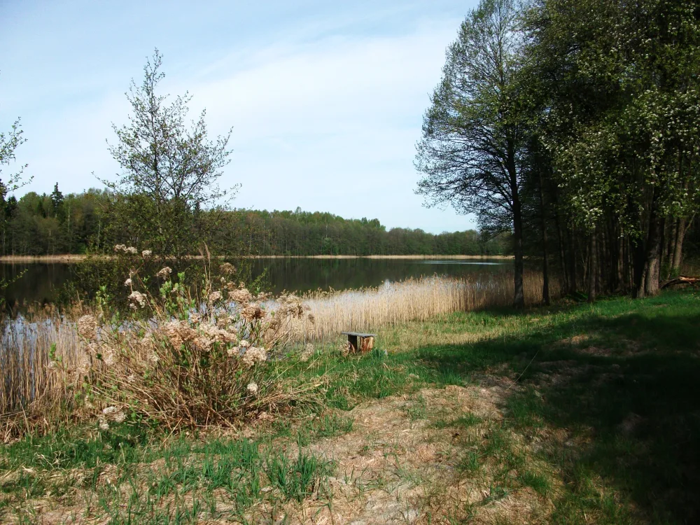 Галодна