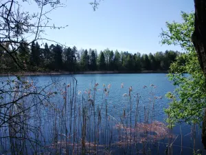 Гульбеза