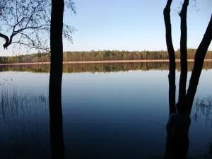 Галадзянка