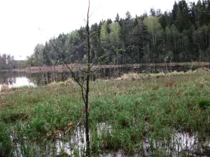 Клевье