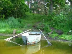 Зеленское