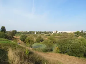 Кутеинка