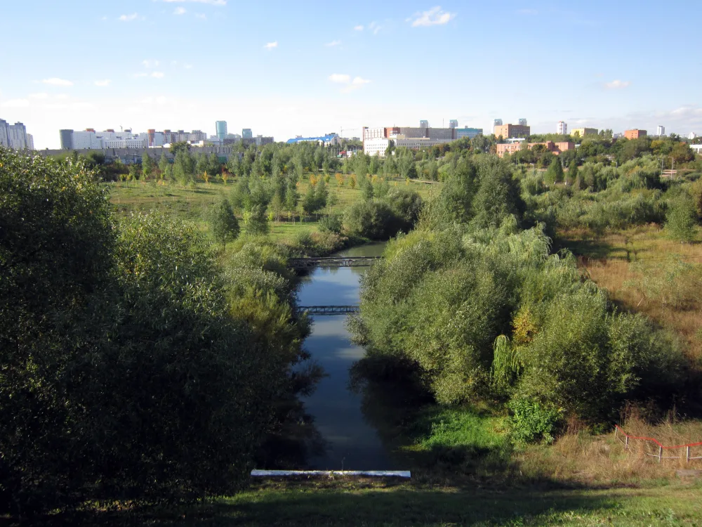 Лошица